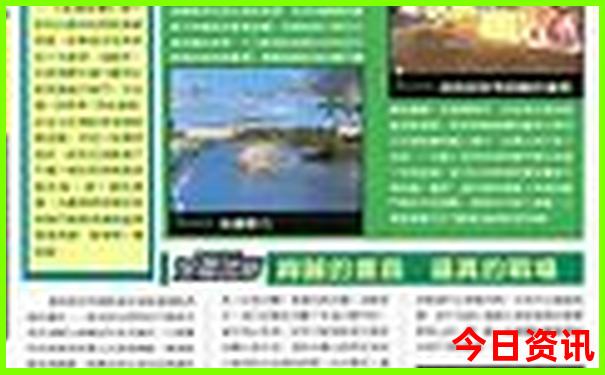 神湾有什么好玩的景点